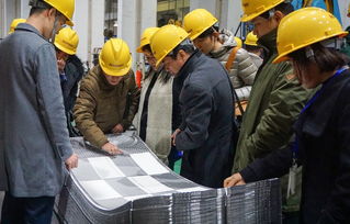 技術(shù)賦能產(chǎn)業(yè)升級(jí) 中石化上海工程醫(yī)藥食品專家團(tuán)蒞臨艾克森工廠開(kāi)展技術(shù)咨詢交流